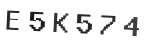 Verification Code Image