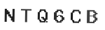 Verification Code Image