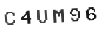 Verification Code Image