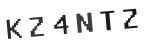 Verification Code Image